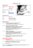 Curriculum Vitae Laura Pierfelici EN