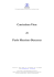 Curriculum Vitae di Paolo Massimo Buscema