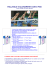 pallavolo e allenamento con i pesi