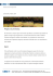 Project Summary: Dati: