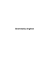 Grammatica Inglese