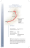 itinerario 2 - Reggello Natura