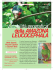 Variabilità geografica della Amazona leucocephala