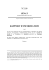 Le rapport au format pdf