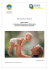 il benessere della mamma e del bambino attraverso l`elaborazione