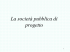 La società pubblica di progetto