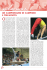 Speciale serie A - Federazione Ginnastica d`Italia