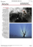 Wildlife Photographer of The Year Museo Minguzzi Milano