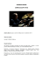 Visualizza cv - Accademia Musicale di San Casciano