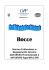 Bocce - Associazione sport disabili Gabriella Vivalda