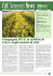 Campagna 2012: la solidità di C.A.C. negli scenari di crisi