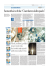 Scarica il pdf