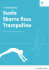 Suolo Sbarra fissa Trampolino