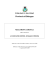 File Pdf