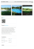 Villa singola vista mare - vendita villa Santa Teresa