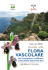 flora vascolare - Guidasicilia.it