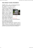 Ikea strizza l`occhio all`ambiente