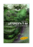 La foresta ti ha, di Luis Devin
