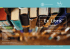 Biblioteca di Discipline Umanistiche