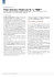 Fitch declassa l`Italia da “A-” a “BBB+”