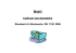 Presentazione di PowerPoint