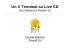 Un X Terminal su Live CD