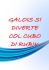 Galois si diverte col cubo di Rubik