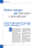 speciale plotter
