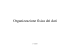 Organizzazione fisica dei dati
