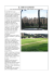 il circo massimo - ArenaEtCircenses.netsons.org