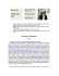 Visualizza il mio curriculum vitae