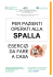 Libretto Informativo Esercizi per Pazienti Operati alla Spalla