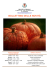 La biblioteca di Halloween