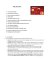 faq italo piu` 08 08 12