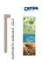 rapporto annuale 2015