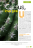 GreenStyle - Cactusmania