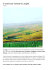 PDF - Marchesi di Barolo