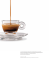 BILANCIO ILLY 2013 scarica pdf