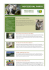 Versione PDF - Parco Nazionale d`Abruzzo Lazio e Molise