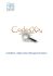 Alla c - Codex[ml]