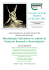 programma - Advanced