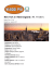 Vacanza Stati Uniti Stati dell`Est:New York e il New England
