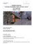 pdf - Le Vie del Nord