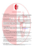 Newsletter numero 3