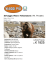 Vacanza Stati Uniti Stati dell`Ovest:Selvaggio West e Yellowstone