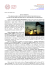 Scarica PDF - Università di Padova