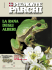Copertina - piemonteparchi