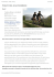 Pirati del Kalterersee - Aristide, a wine blog