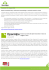 Scarica la newsletter numero 4 in italiano