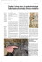 la paleoclimatologia. Dalle torbiere all`anomalia climatica